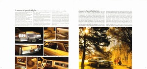 1973 Cadillac (Cdn)-20-21.jpg